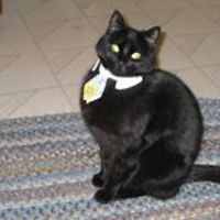 barbara-h-griffin-9 avatar