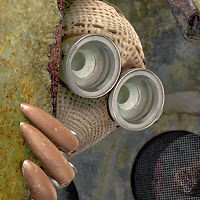 claudiatropiano avatar