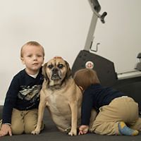 joan.rekemeier avatar