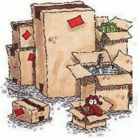 laurie.levieoldenstal avatar