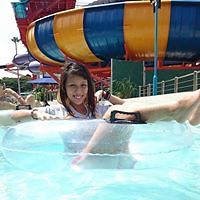 pekyees.littlelove avatar