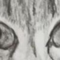 alison.flannigan avatar