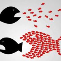 klaudia.meramveliotaki avatar