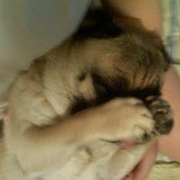 jessi-krukowska avatar