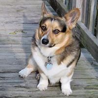 sandy.s.brewer avatar