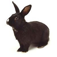 5410ae13bf0c2 avatar