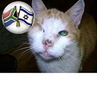 norman.engela avatar