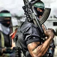 sammer.abuhamid avatar