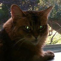 carol-hansen-397 avatar