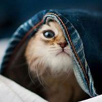 heatherlyn.mcguire avatar