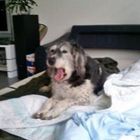 matthias.hauger.52 avatar