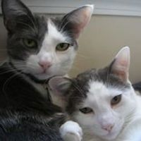 carolann.fingerle avatar