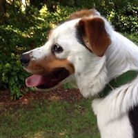 jane.botten.5 avatar