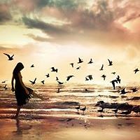 pat.deegan.58 avatar