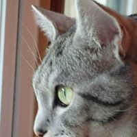 sarah.schultz.5667 avatar