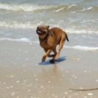 sherry.rhodes.984 avatar