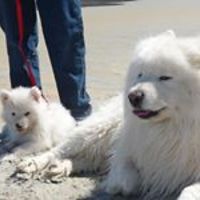 glenda-obrien-520 avatar