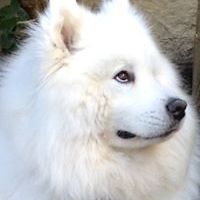 carter-lawrie-3 avatar