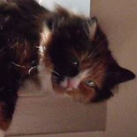 tara.cavanagh1 avatar