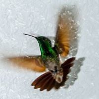 arturo.delarosa1 avatar