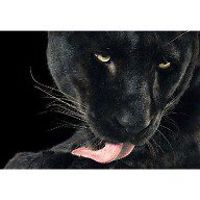 linda.wagner.5439 avatar