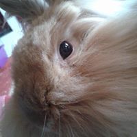 vikki-carter1 avatar