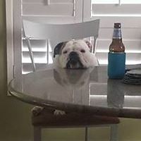 juanita.riverasmith avatar