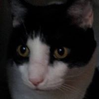 ellen.johnson.5895 avatar