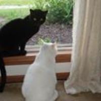 gabriella.michalec avatar