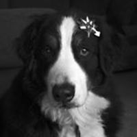 formica.dinette.982 avatar