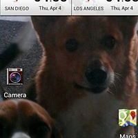 541844286d506 avatar