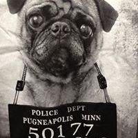 susan.underwoodcoyne avatar