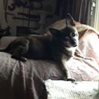 barbara.kistler.142 avatar