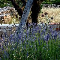 sigrid.pavisic avatar