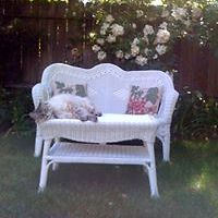 barbara-crane-161 avatar