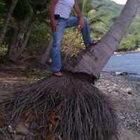 54187b3247fa3 avatar