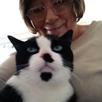 sandy-tootsie-welter avatar