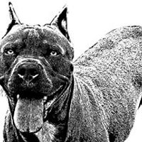 541886156bca6 avatar