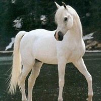 michele.gilles.52 avatar