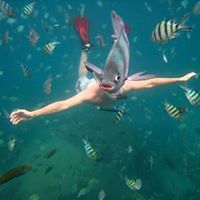 rebecca.wills1 avatar