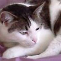 patricia-morgan-79462815 avatar