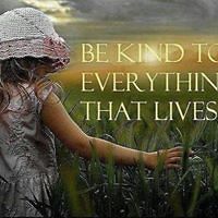 tracy.jenkins.5855 avatar