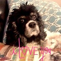 janmarie.swanson avatar