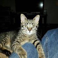 larry.pitzer.1 avatar