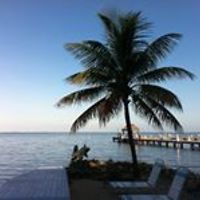 rene-tryanbigford avatar