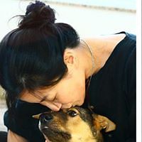 carol.wong.503092 avatar