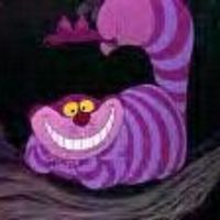 bev-williams-330 avatar