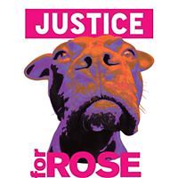 mncountrygirl7 avatar