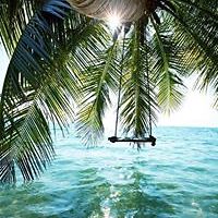 marco.danetti5 avatar