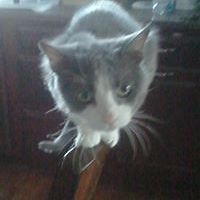 rachel-martin-79677 avatar